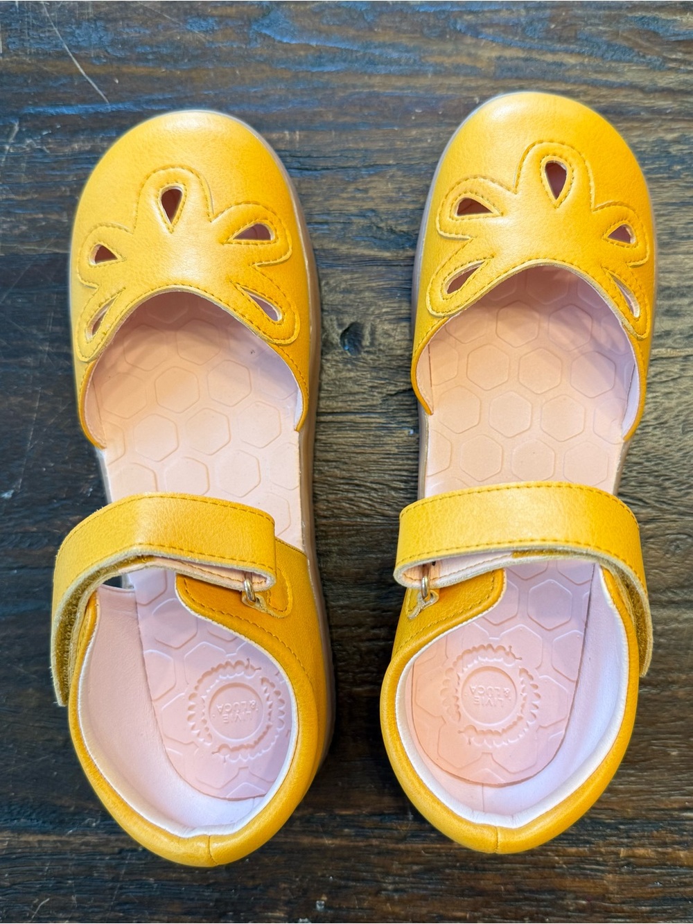 New in Box Livie & Luca Petal 2.0 Mary Jane Butterscotch 3Y